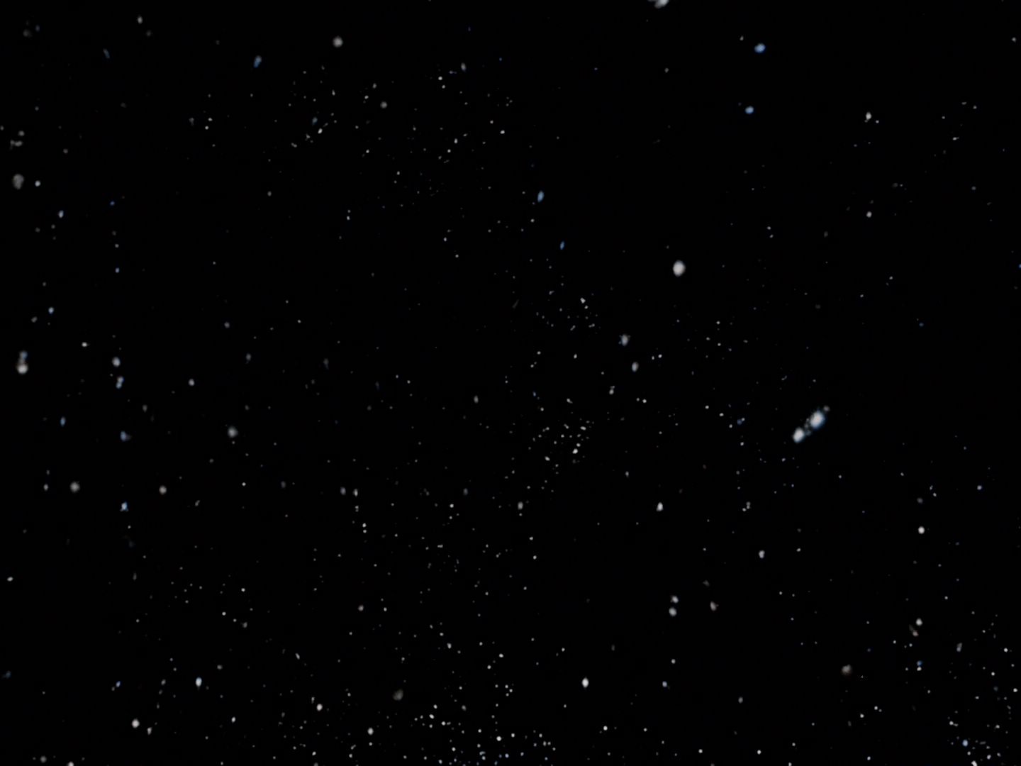 ariane179254_StarTrek_TheCage_0005.jpg