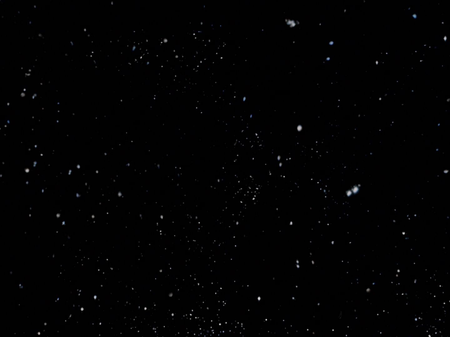 ariane179254_StarTrek_TheCage_0008.jpg
