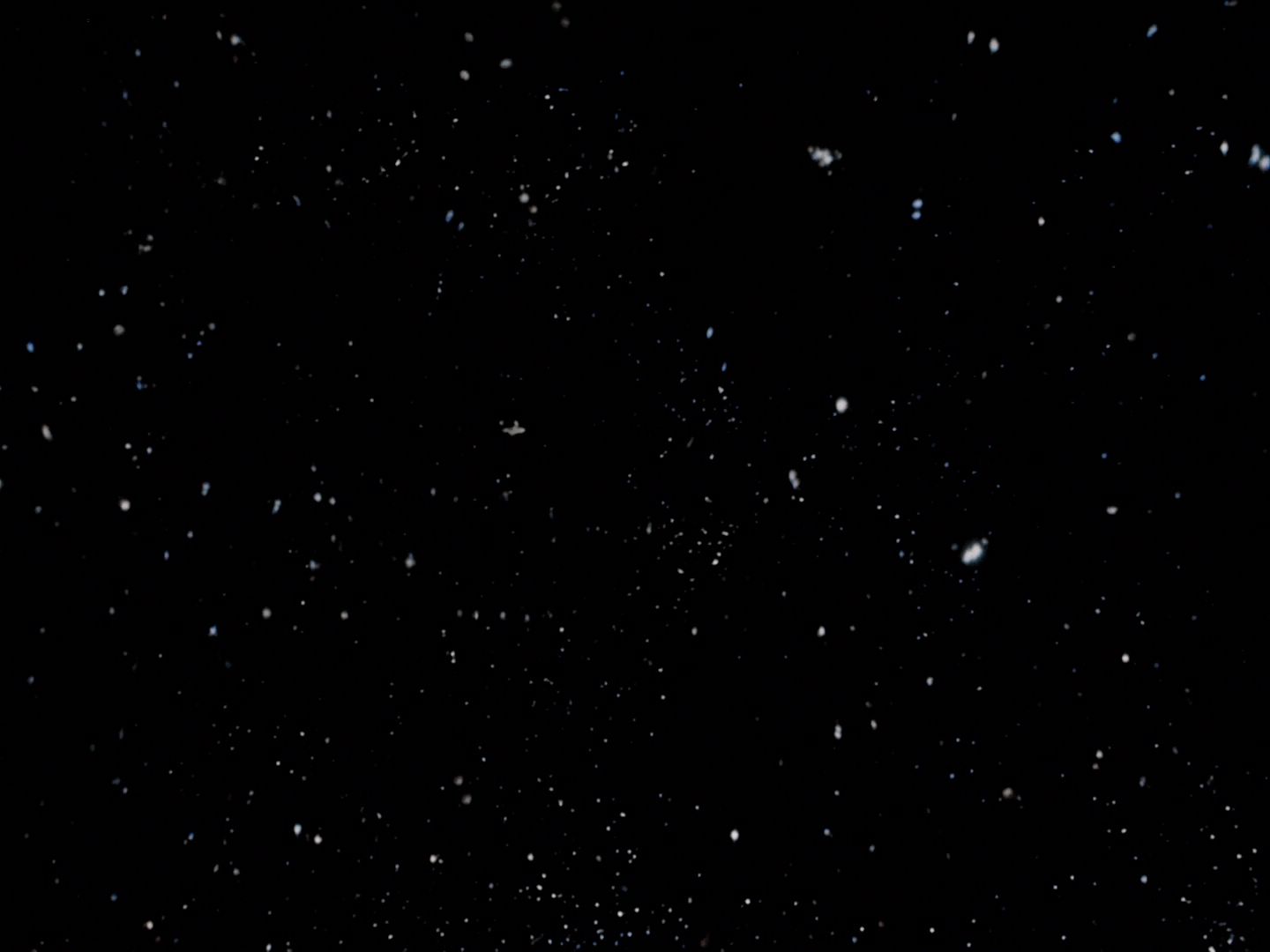 ariane179254_StarTrek_TheCage_0012.jpg