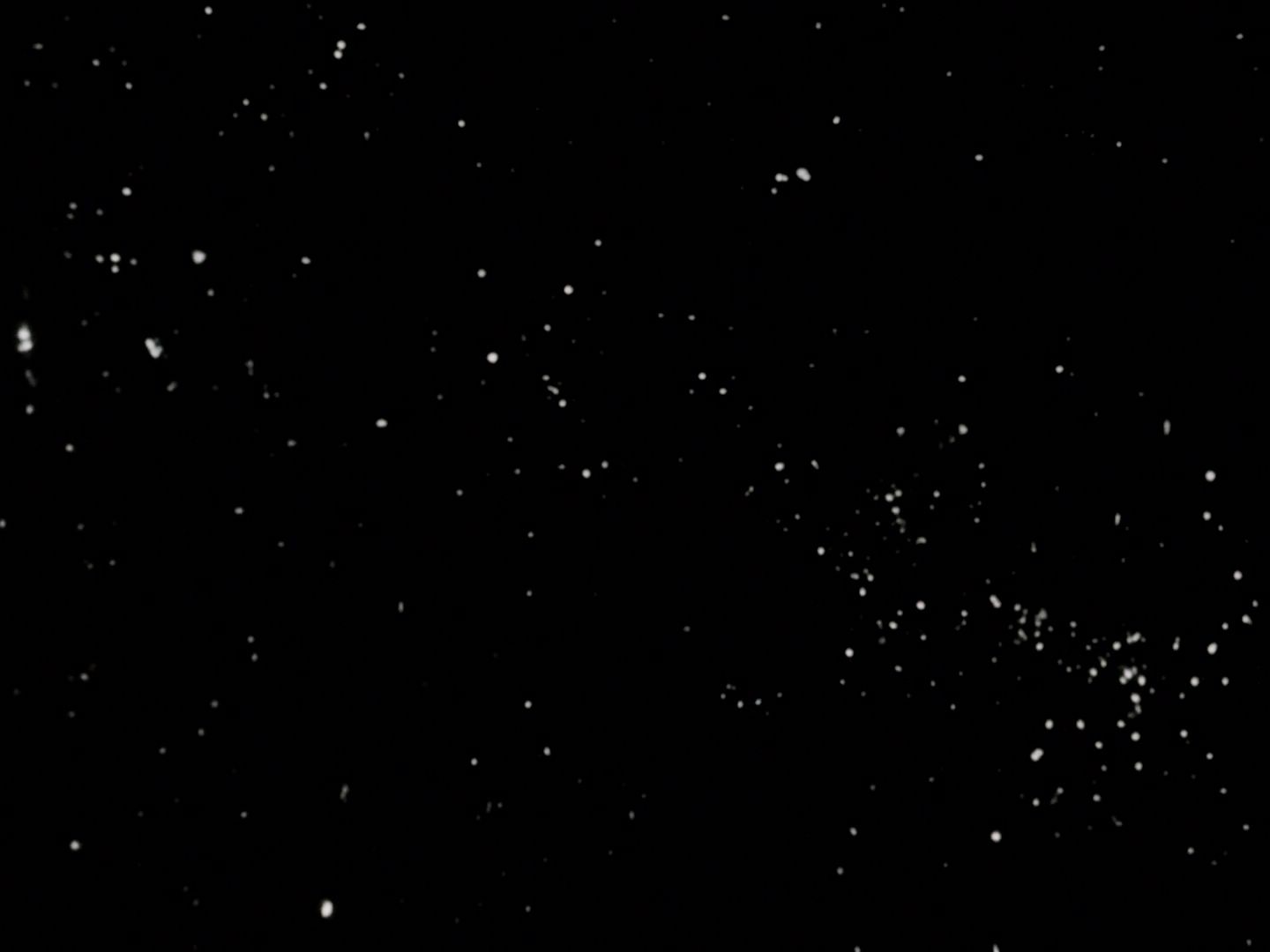 ariane179254_StarTrek_TheCage_0018.jpg