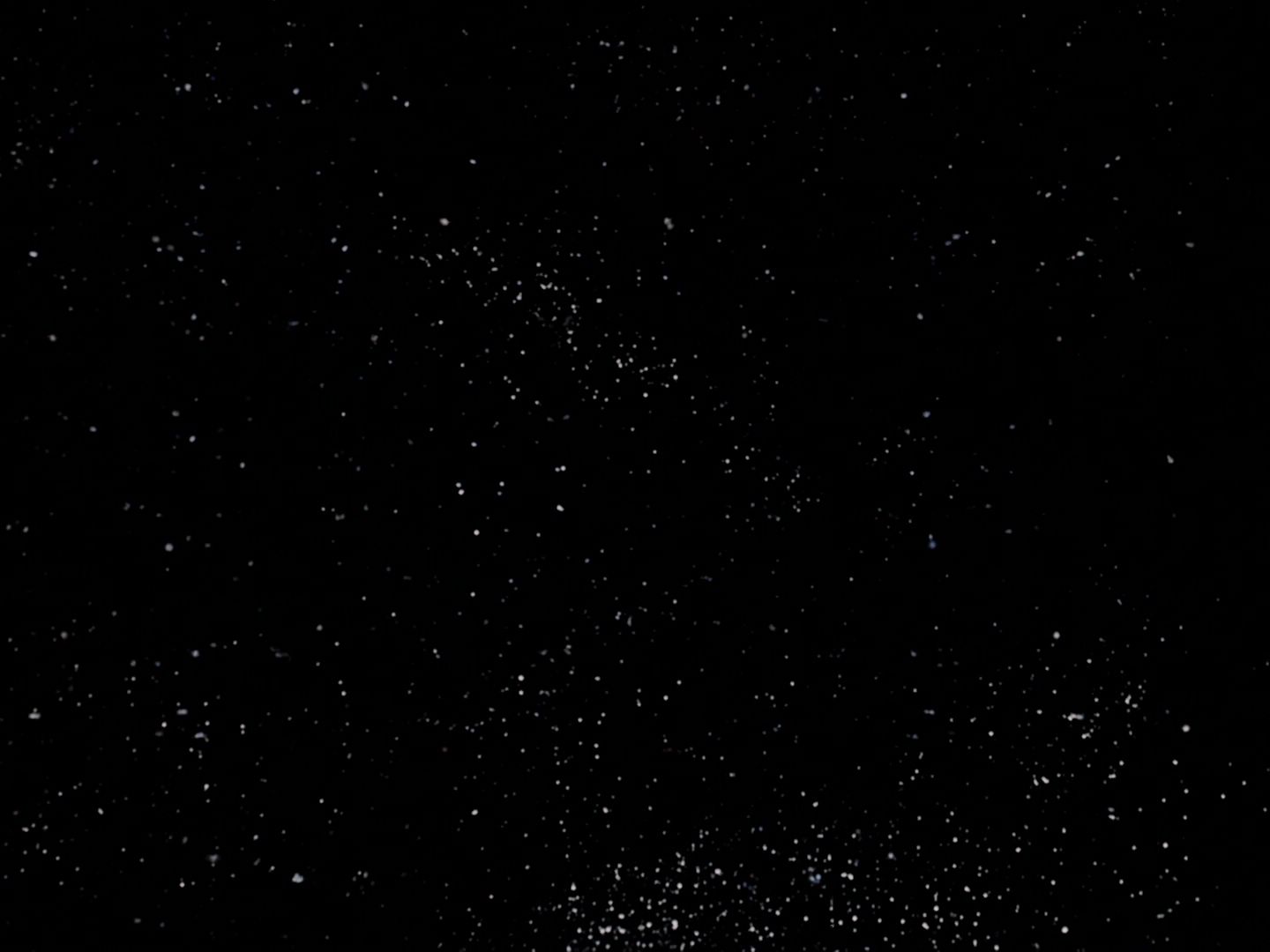 ariane179254_StarTrek_TheCage_0047.jpg