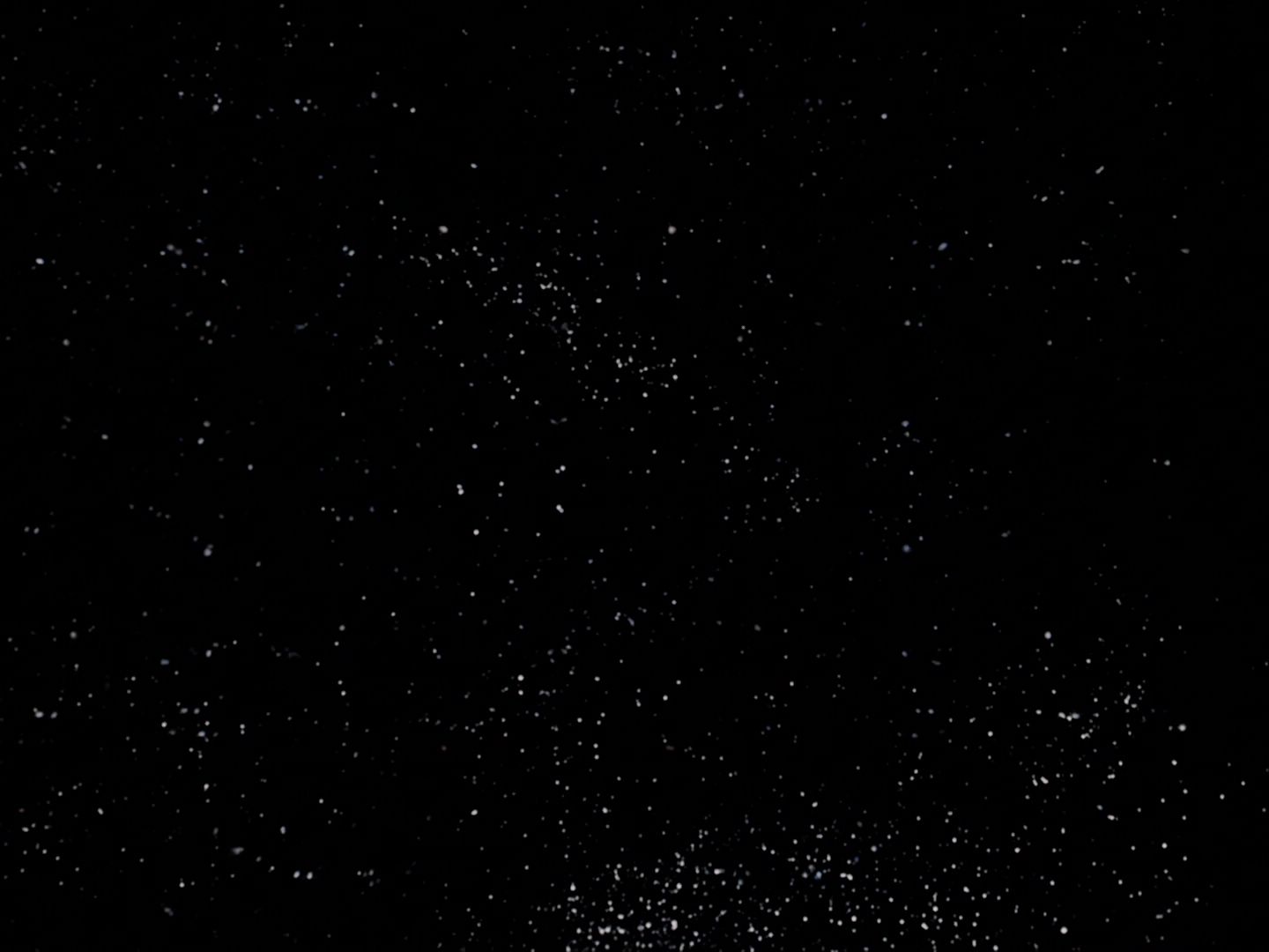 ariane179254_StarTrek_TheCage_0048.jpg