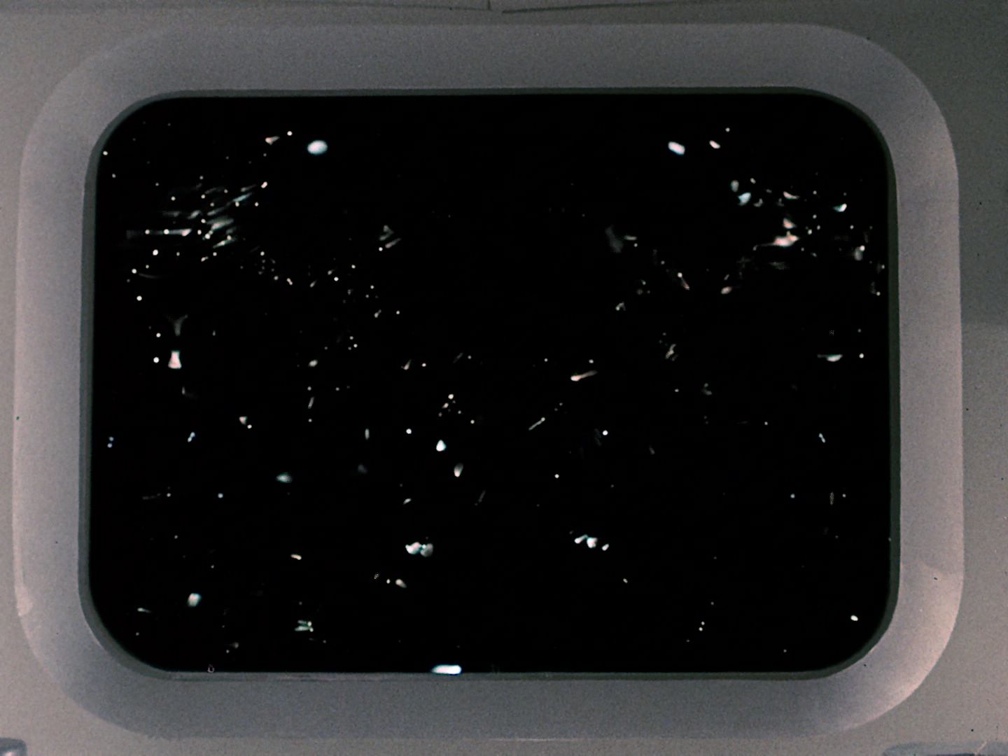 ariane179254_StarTrek_TheCage_0077.jpg