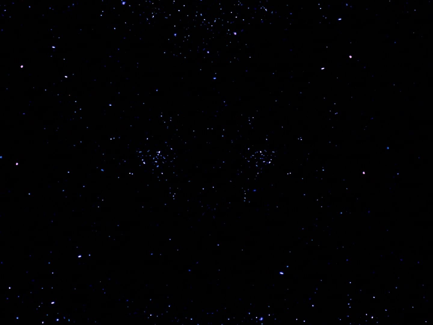 ariane179254_StarTrek_TheCage_0585.jpg