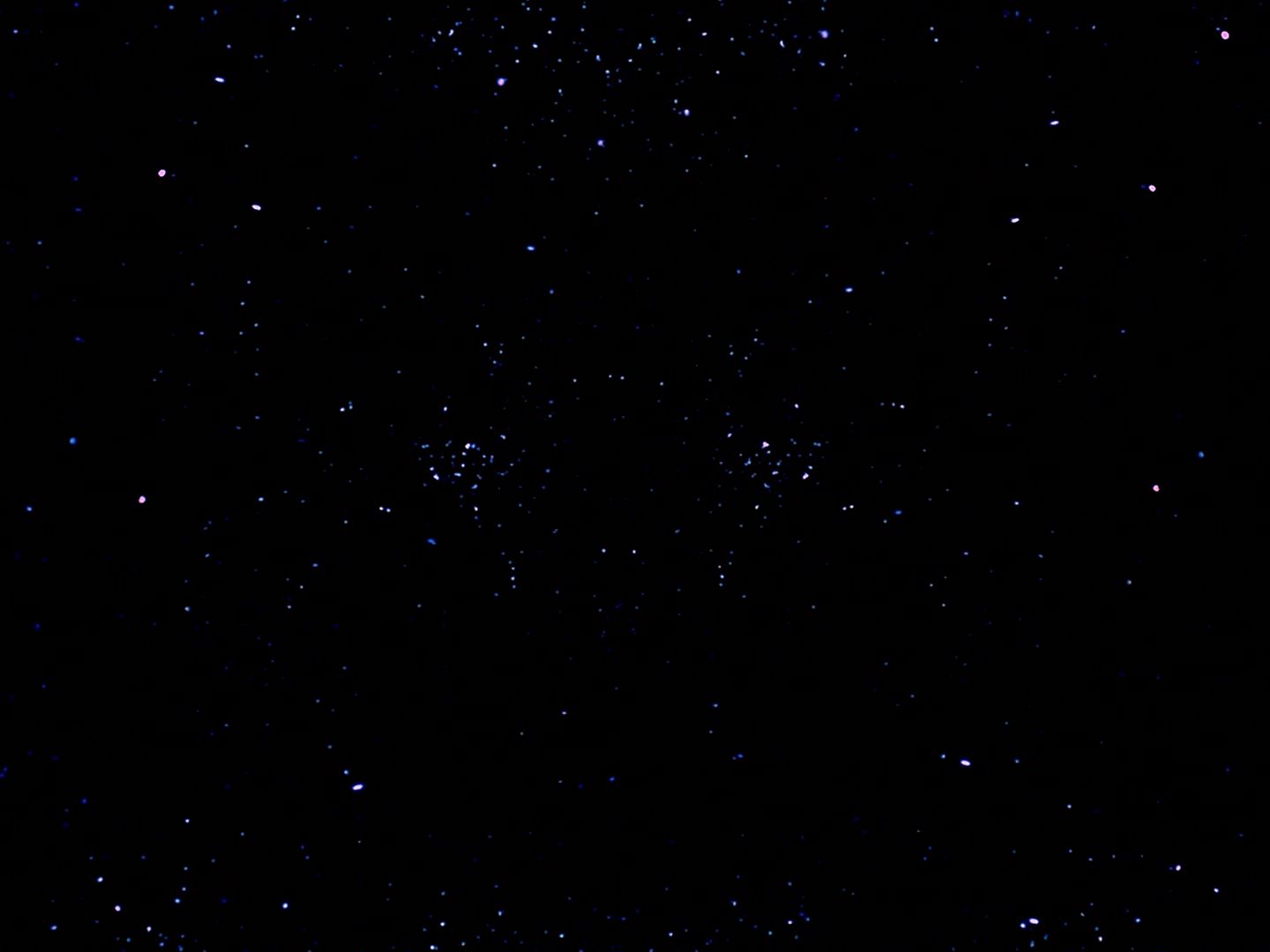 ariane179254_StarTrek_TheCage_0590.jpg