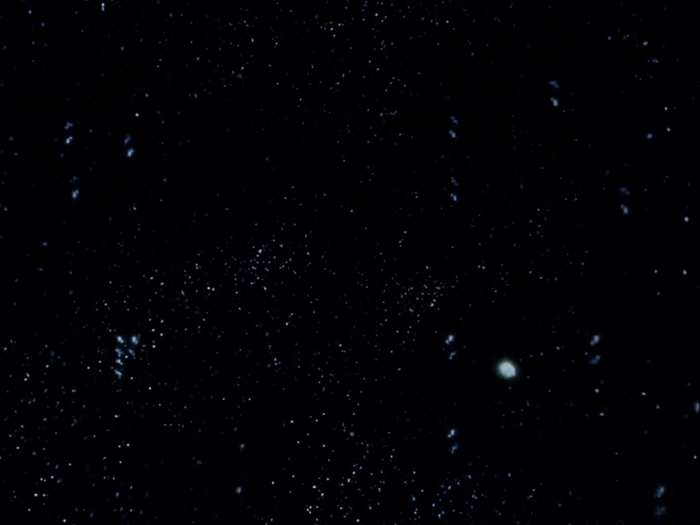 ariane179254_StarTrek_TheCage_0662.jpg