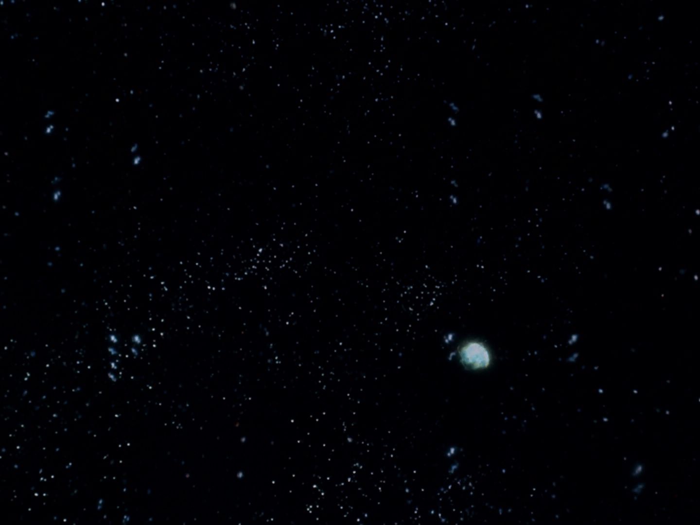 ariane179254_StarTrek_TheCage_0664.jpg