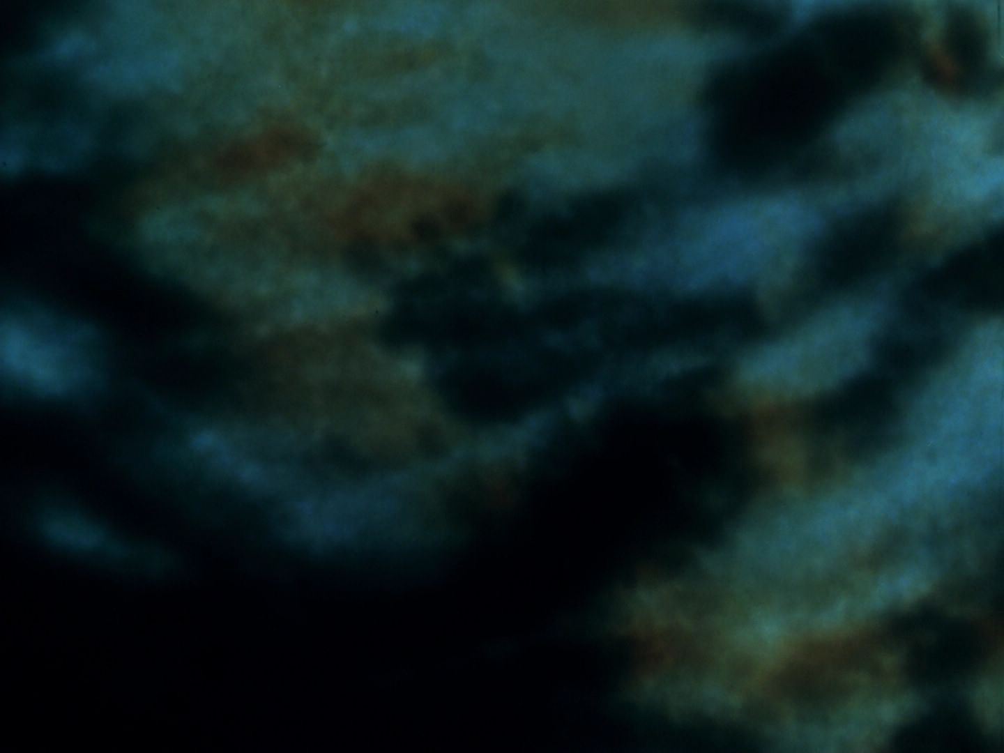 ariane179254_StarTrek_TheCage_0673.jpg