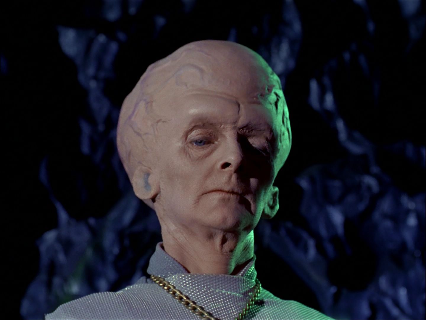 ariane179254_StarTrek_TheCage_0991.jpg