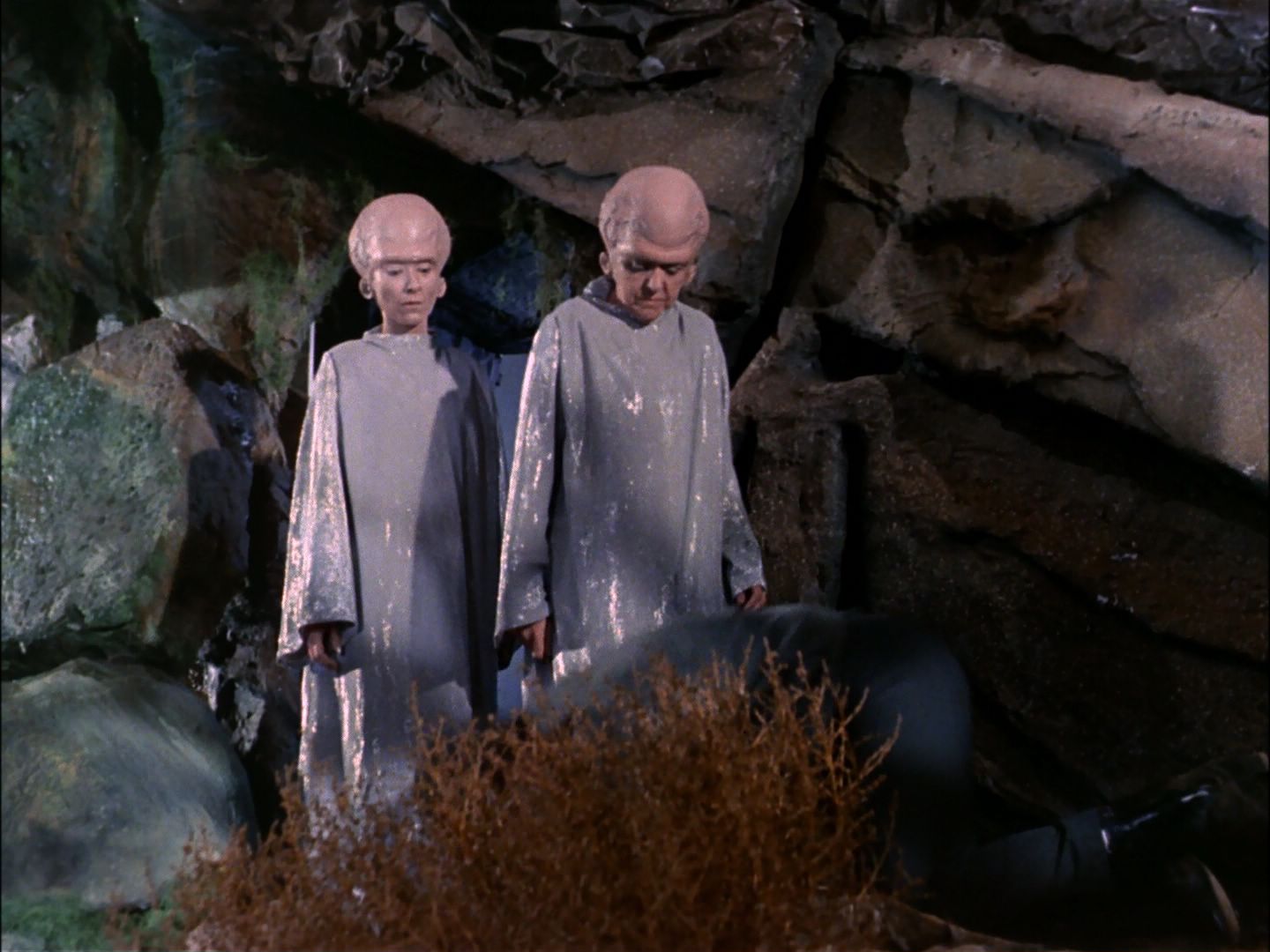 ariane179254_StarTrek_TheCage_1181.jpg