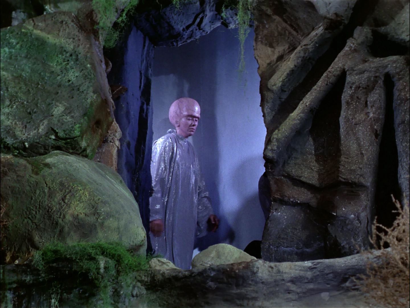 ariane179254_StarTrek_TheCage_1193.jpg