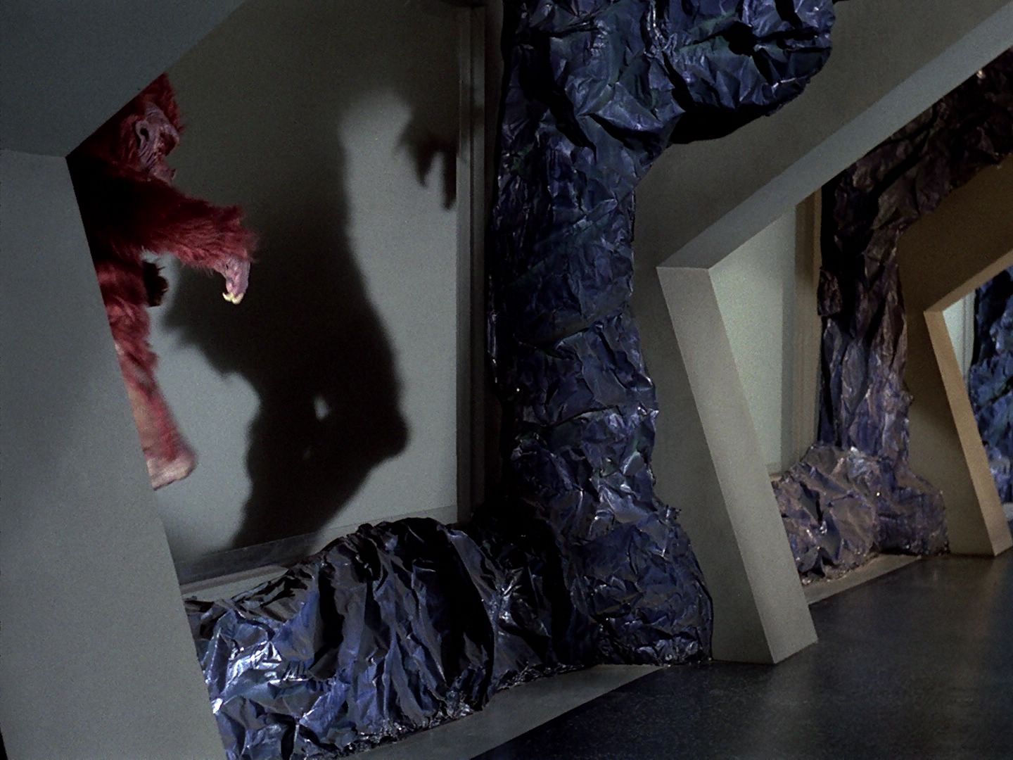 ariane179254_StarTrek_TheCage_1349.jpg