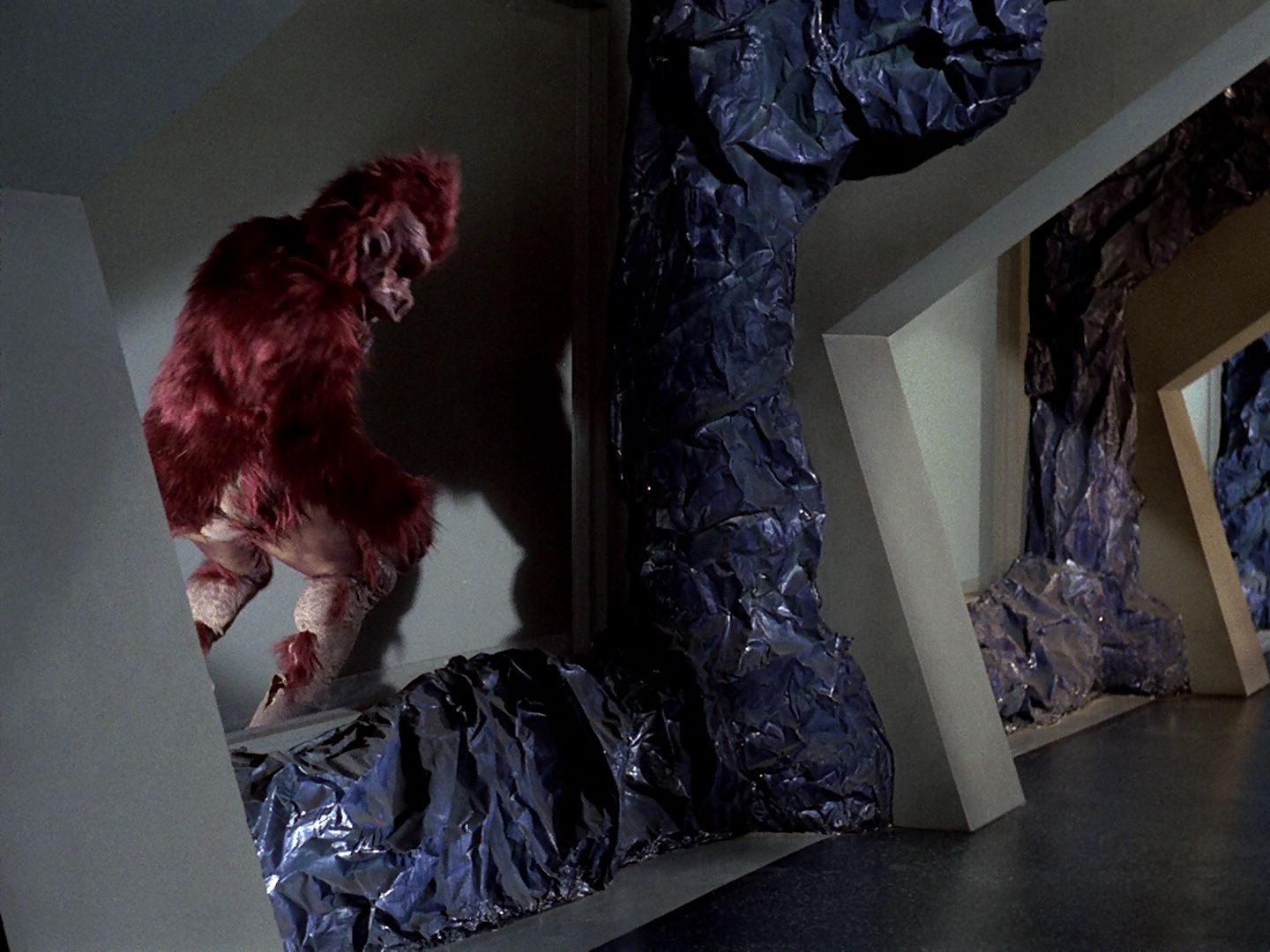 ariane179254_StarTrek_TheCage_1350.jpg
