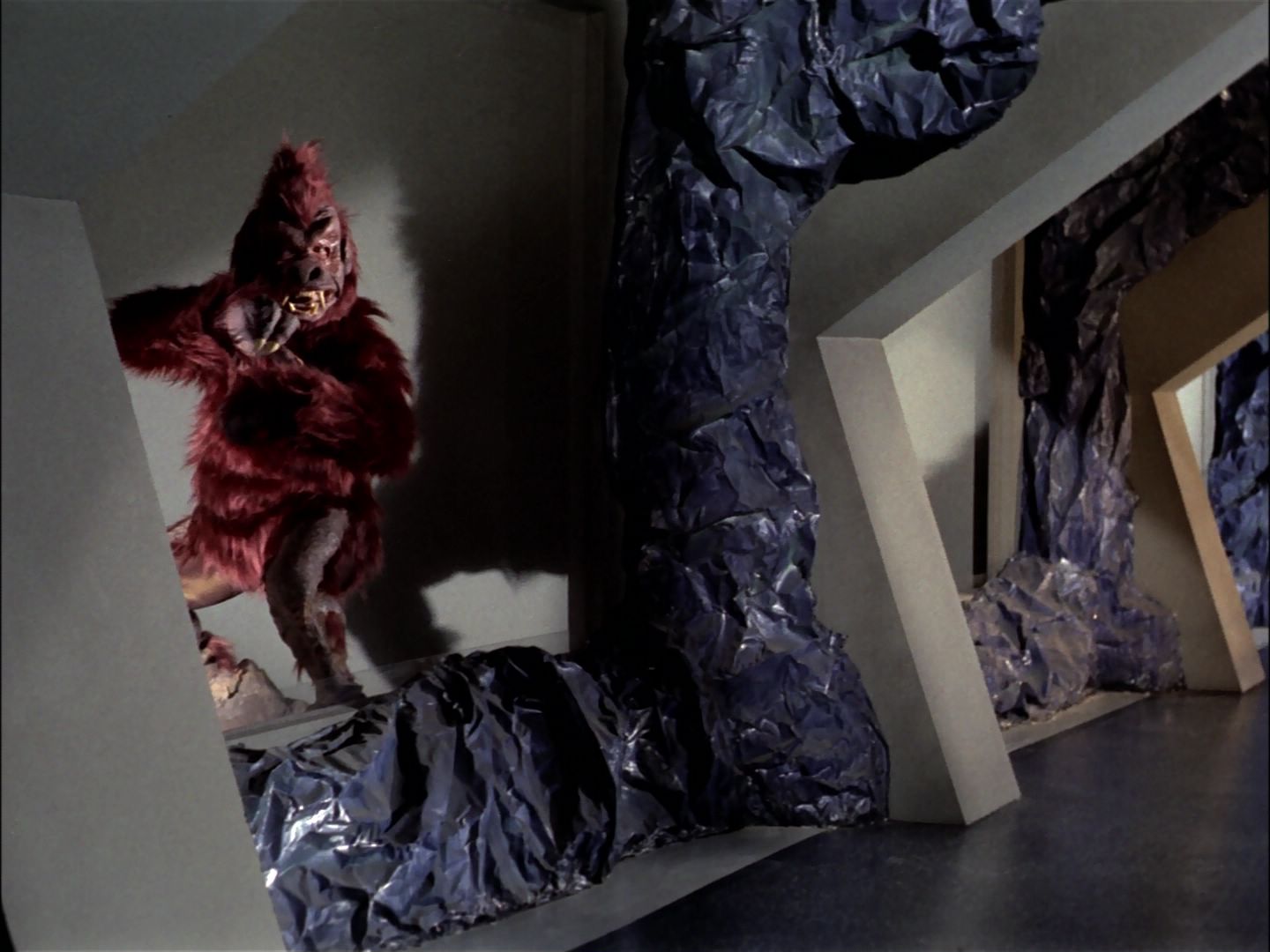 ariane179254_StarTrek_TheCage_1363.jpg