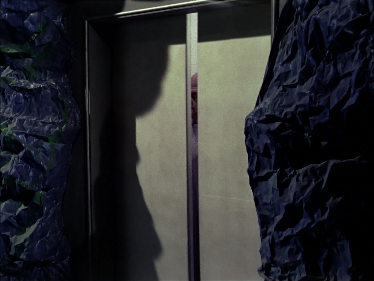 ariane179254_StarTrek_TheCage_1386.jpg