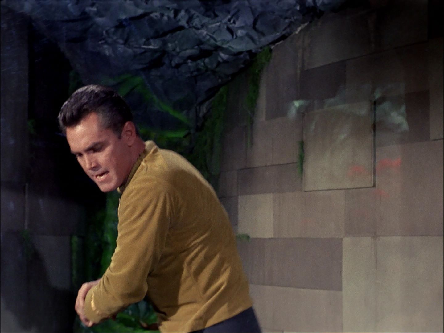 ariane179254_StarTrek_TheCage_1489.jpg