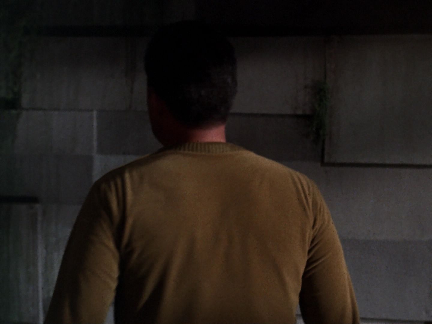 ariane179254_StarTrek_TheCage_1650.jpg