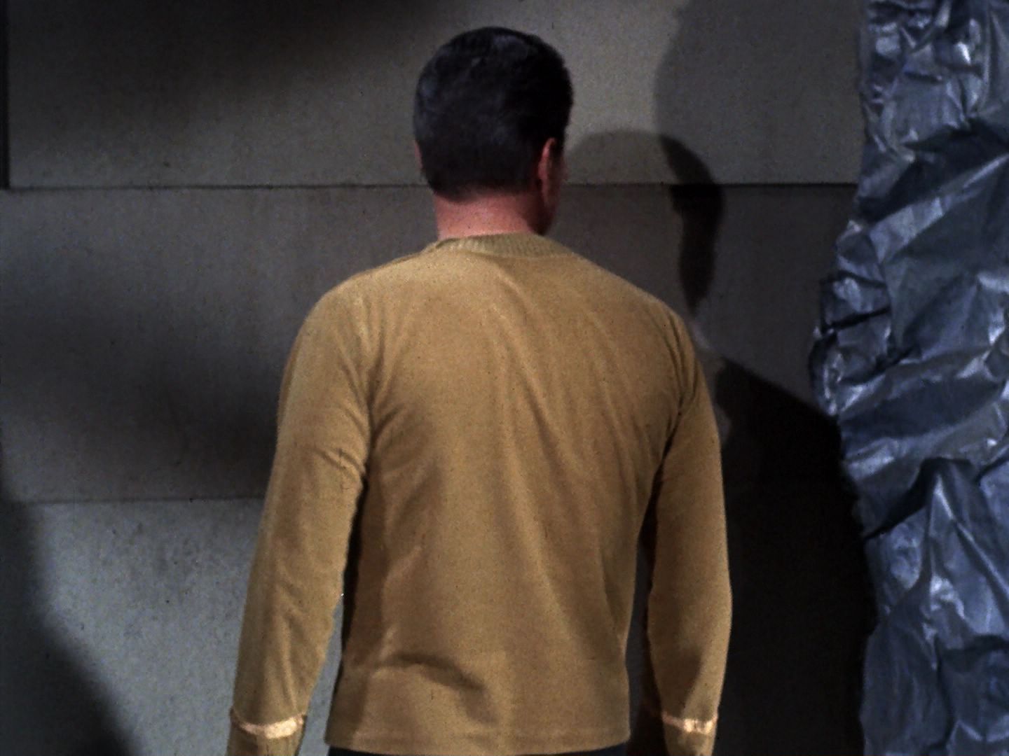 ariane179254_StarTrek_TheCage_1661.jpg