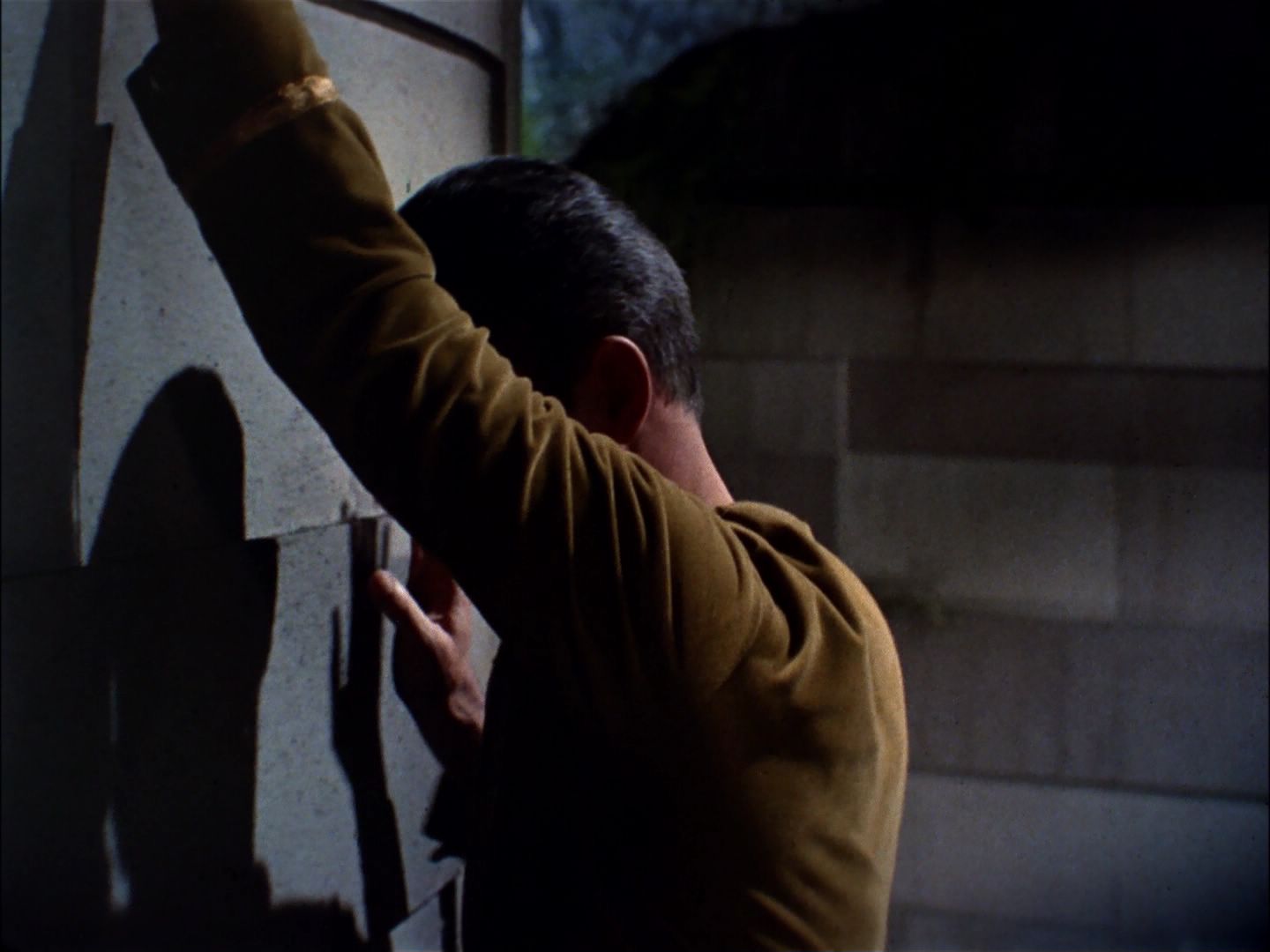 ariane179254_StarTrek_TheCage_1689.jpg