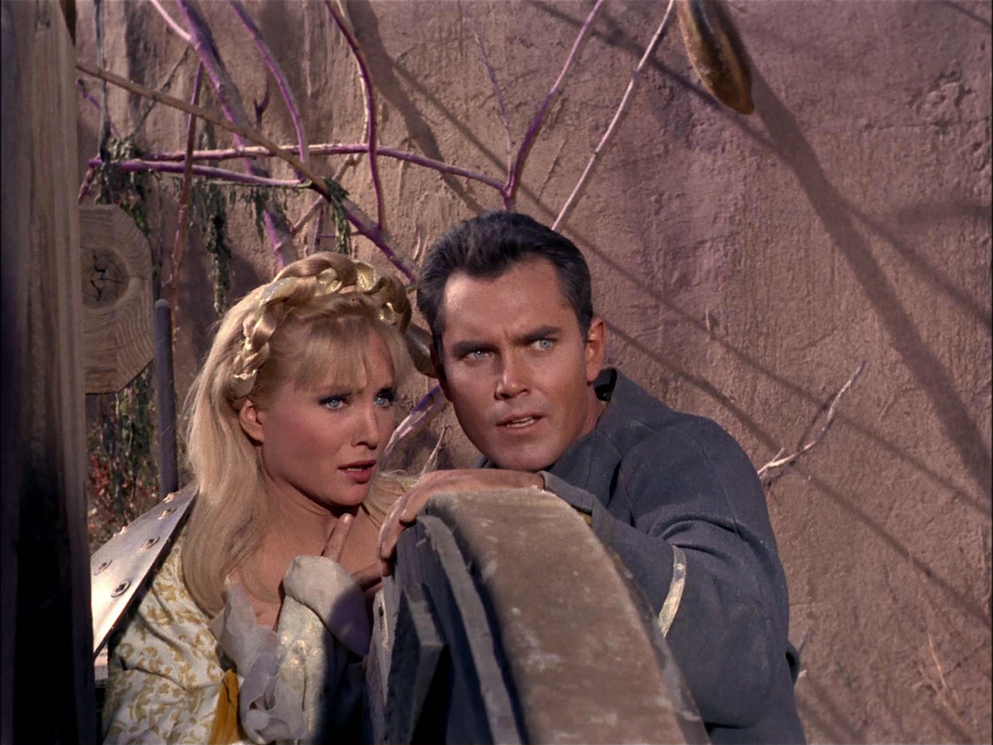 ariane179254_StarTrek_TheCage_1811.jpg