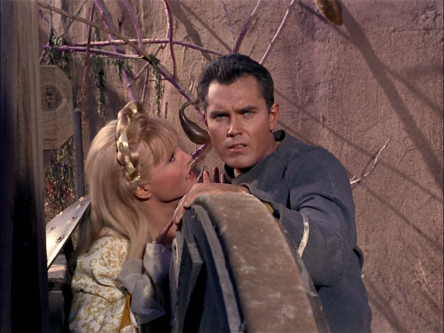 ariane179254_StarTrek_TheCage_1822.jpg