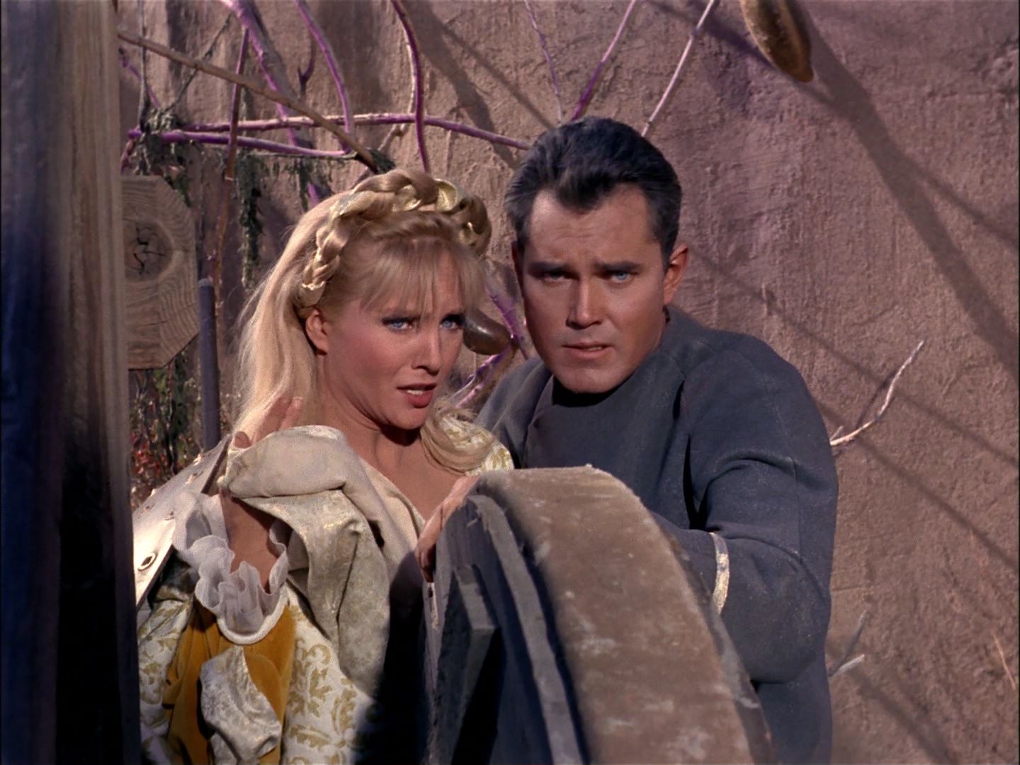 ariane179254_StarTrek_TheCage_1830.jpg