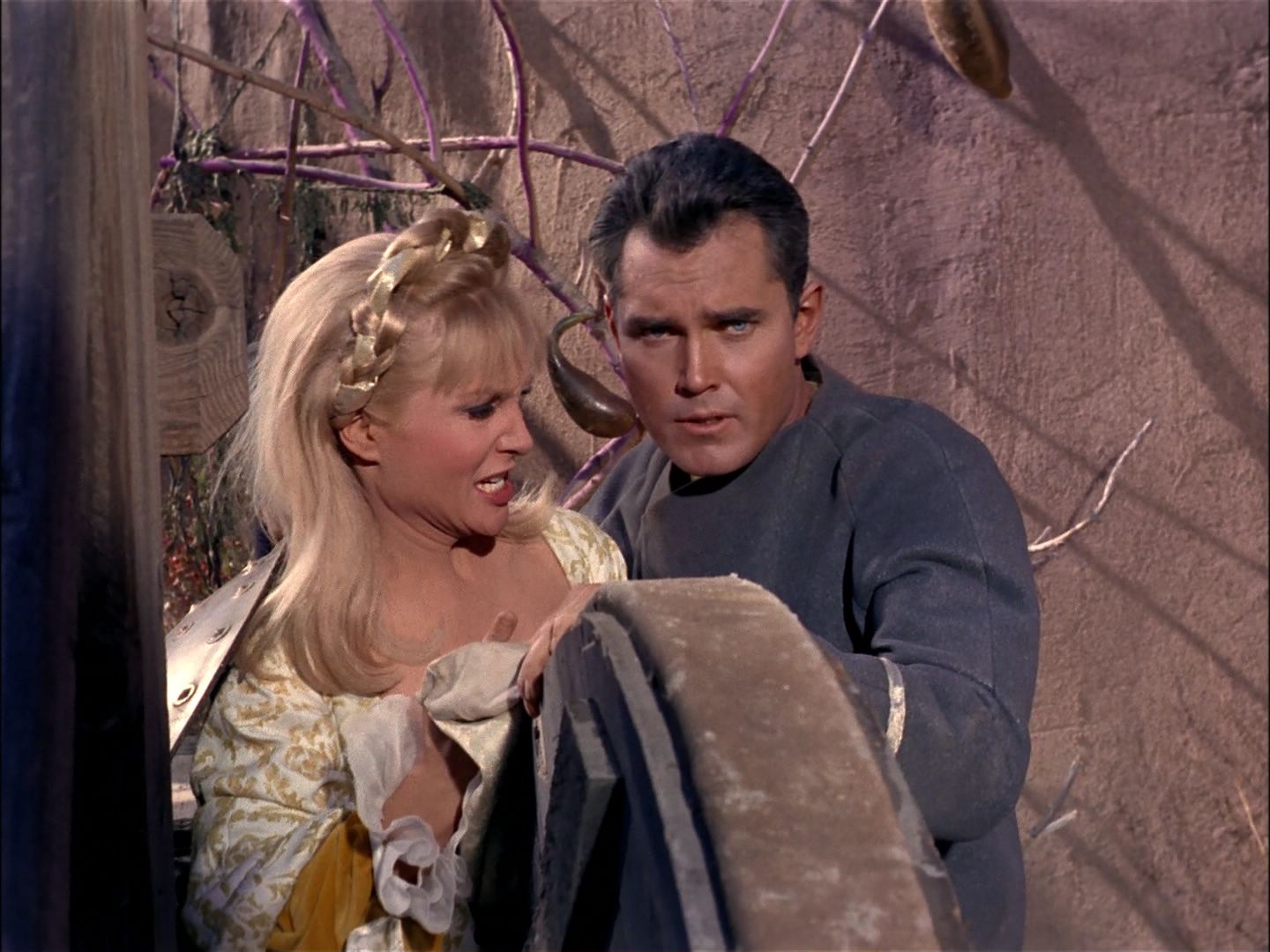 ariane179254_StarTrek_TheCage_1839.jpg