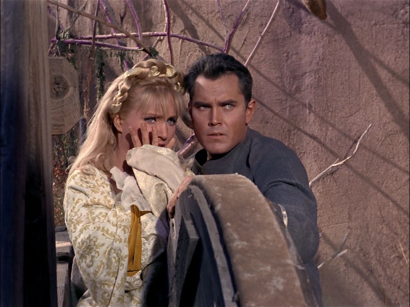 ariane179254_StarTrek_TheCage_1853.jpg