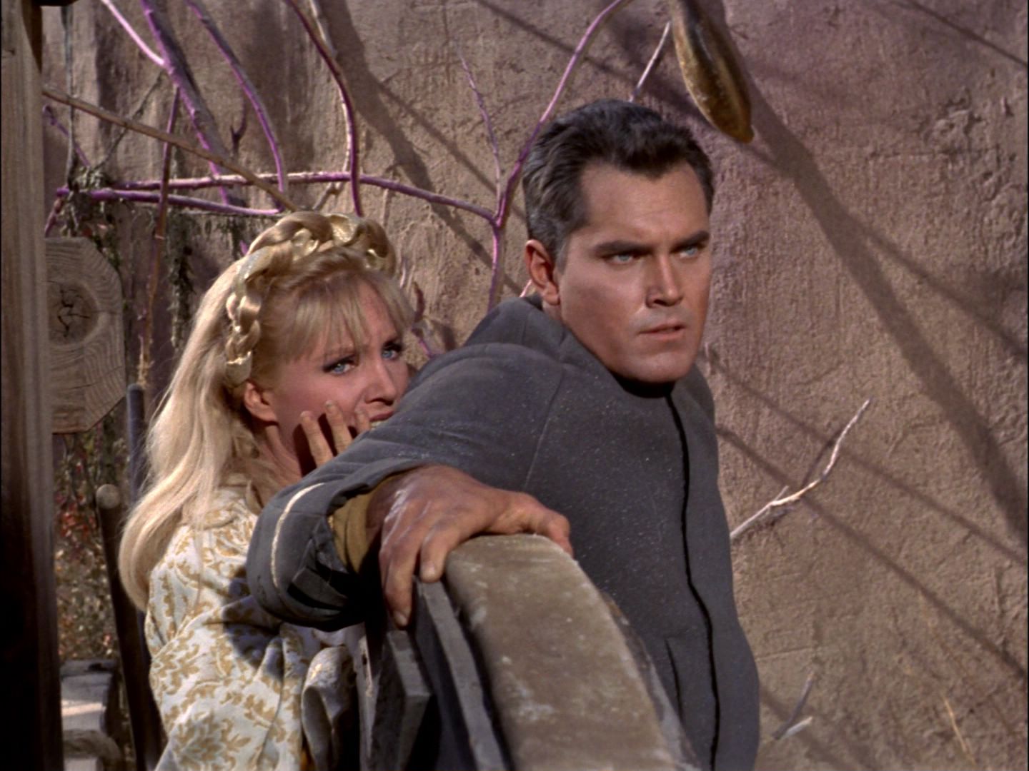 ariane179254_StarTrek_TheCage_1868.jpg