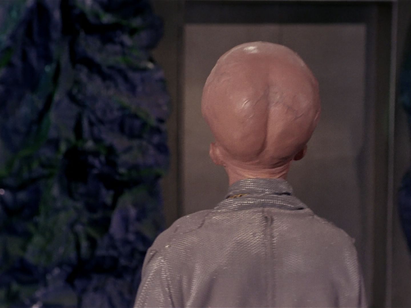 ariane179254_StarTrek_TheCage_2704.jpg