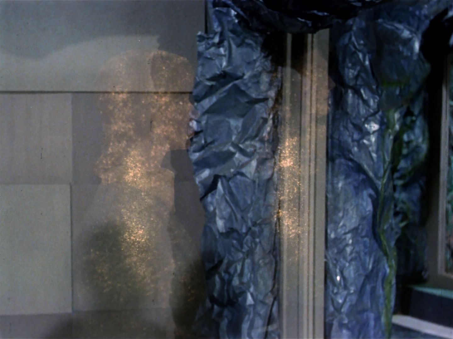 ariane179254_StarTrek_TheCage_3359.jpg