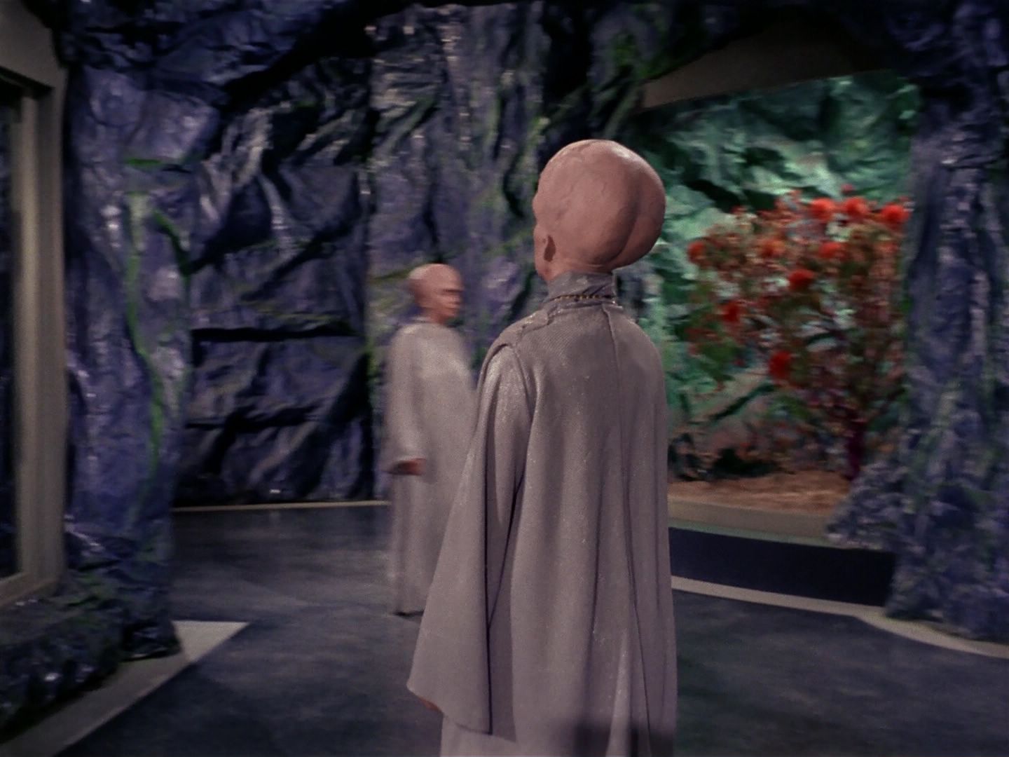 ariane179254_StarTrek_TheCage_3480.jpg