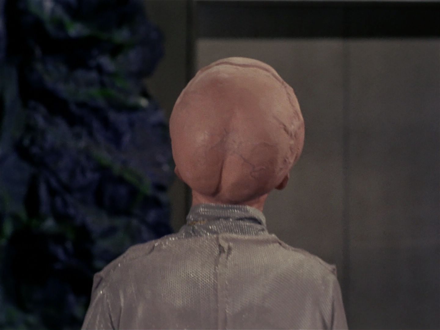 ariane179254_StarTrek_TheCage_3577.jpg