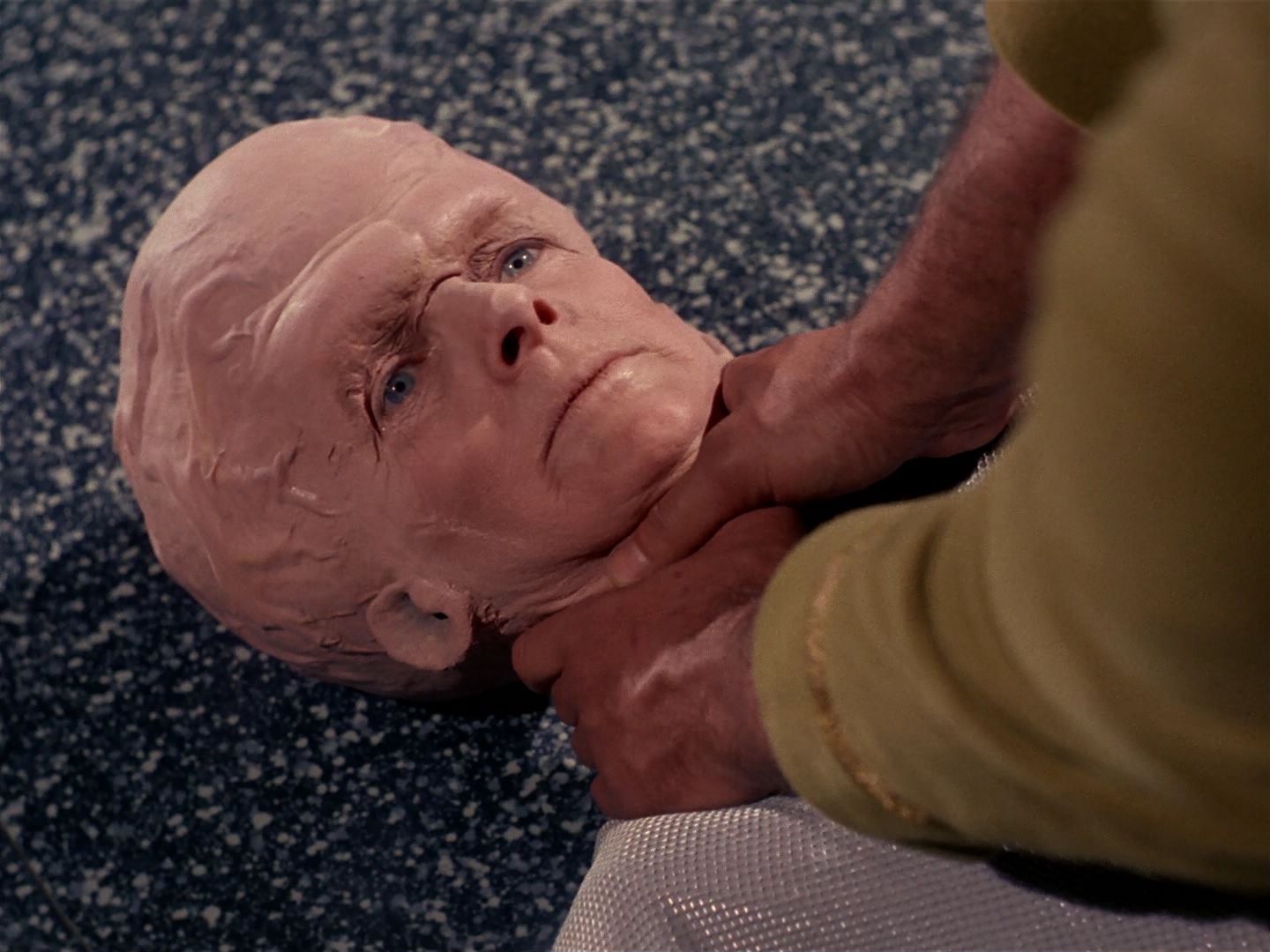 ariane179254_StarTrek_TheCage_3735.jpg