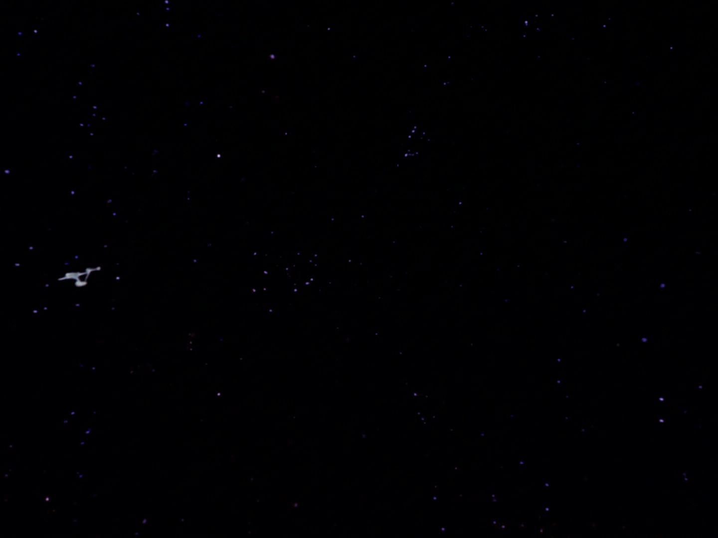 ariane179254_StarTrek_TheCage_4527.jpg