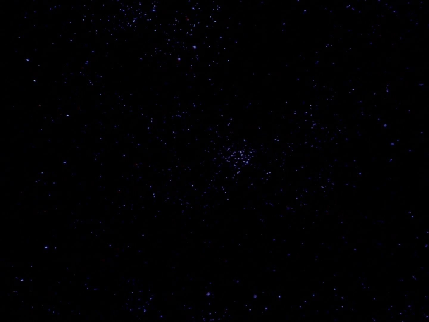 ariane179254_StarTrek_TheCage_4533.jpg