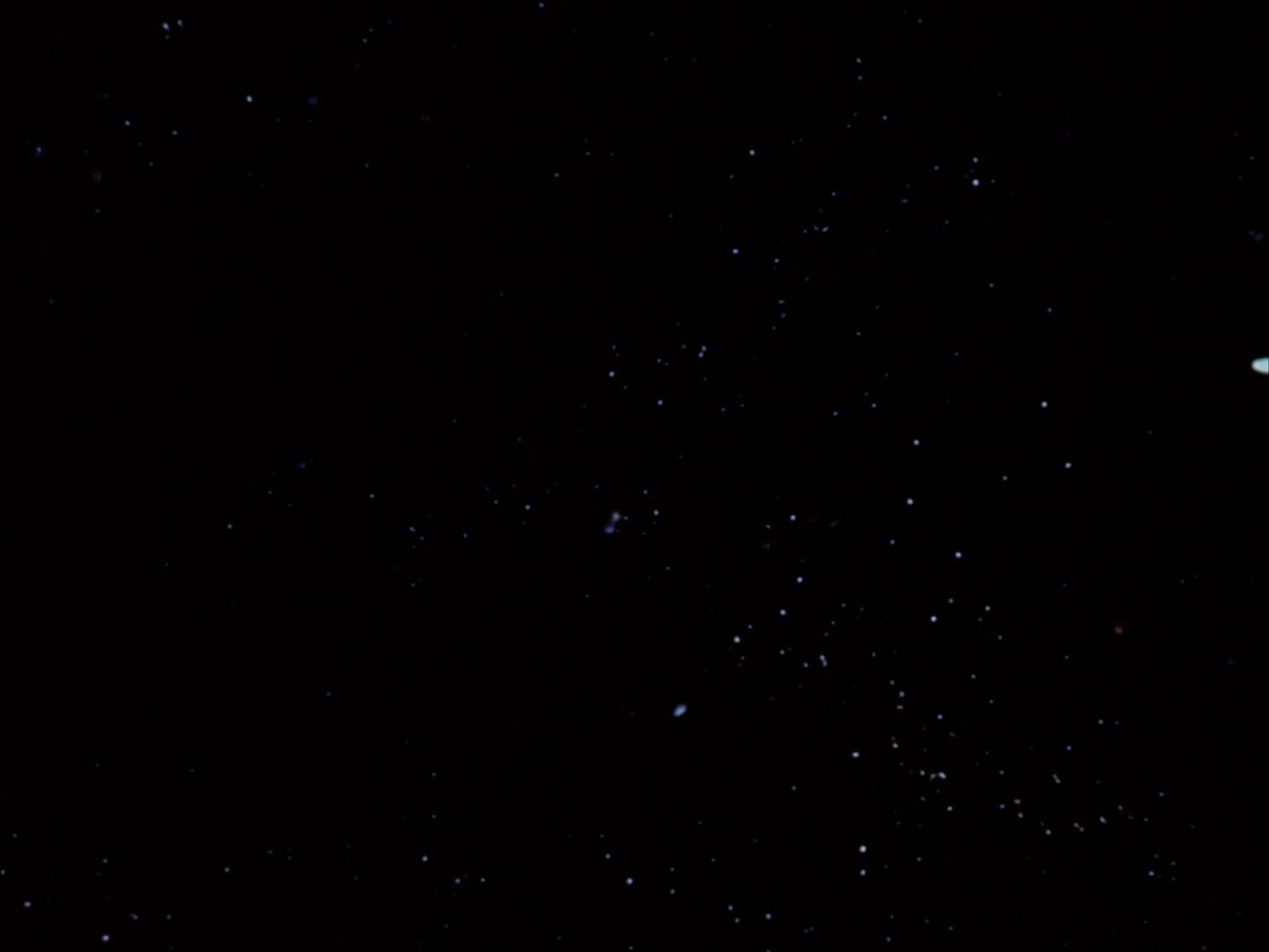ariane179254_StarTrek_TheCage_4534.jpg