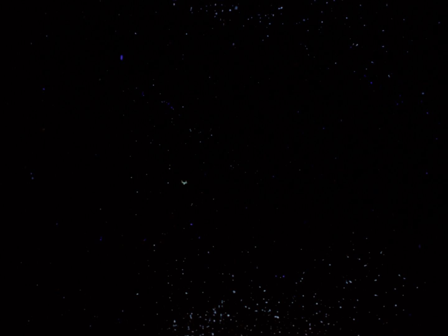 ariane179254_StarTrek_TheCage_4539.jpg