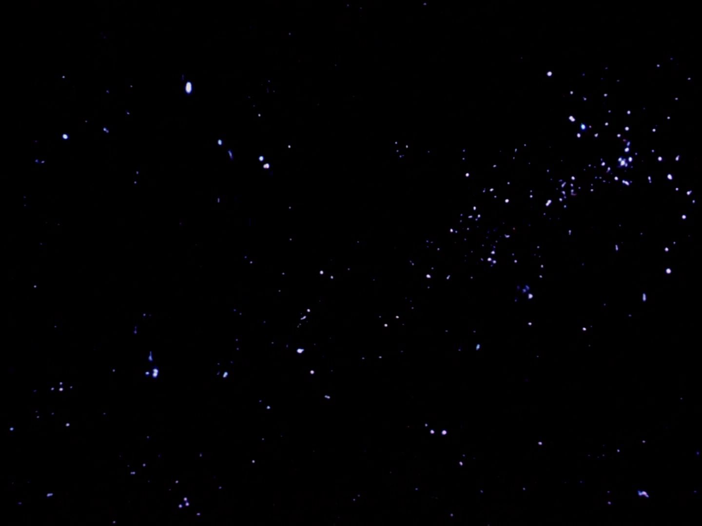 ariane179254_StarTrek_TheCage_4540.jpg