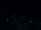 ariane179254_StarTrek_TheCage_0661.jpg