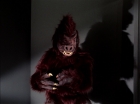Filename=ariane179254_StarTrek_TheCage_1358.jpg
Filesize=66KiB
Dimensions=1440x1080
Date added=Sep 01, 2015 ariane179254_StarTrek_TheCage_1358.jpg