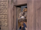 Filename=ariane179254_StarTrek_TheCage_1829.jpg
Filesize=204KiB
Dimensions=1440x1080
Date added=Sep 01, 2015 ariane179254_StarTrek_TheCage_1829.jpg