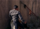 ariane179254_StarTrek_TheCage_1882.jpg