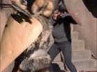 Filename=ariane179254_StarTrek_TheCage_1906.jpg
Filesize=169KiB
Dimensions=1440x1080
Date added=Sep 01, 2015 ariane179254_StarTrek_TheCage_1906.jpg
