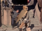 ariane179254_StarTrek_TheCage_1911.jpg