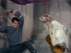 Filename=ariane179254_StarTrek_TheCage_1951.jpg
Filesize=143KiB
Dimensions=1440x1080
Date added=Sep 01, 2015 ariane179254_StarTrek_TheCage_1951.jpg