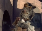 Filename=ariane179254_StarTrek_TheCage_1982.jpg
Filesize=125KiB
Dimensions=1440x1080
Date added=Sep 01, 2015 ariane179254_StarTrek_TheCage_1982.jpg