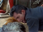 Filename=ariane179254_StarTrek_TheCage_2001.jpg
Filesize=150KiB
Dimensions=1440x1080
Date added=Sep 01, 2015 ariane179254_StarTrek_TheCage_2001.jpg