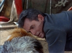 Filename=ariane179254_StarTrek_TheCage_2002.jpg
Filesize=147KiB
Dimensions=1440x1080
Date added=Sep 01, 2015 ariane179254_StarTrek_TheCage_2002.jpg