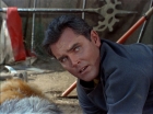 Filename=ariane179254_StarTrek_TheCage_2005.jpg
Filesize=147KiB
Dimensions=1440x1080
Date added=Sep 01, 2015 ariane179254_StarTrek_TheCage_2005.jpg